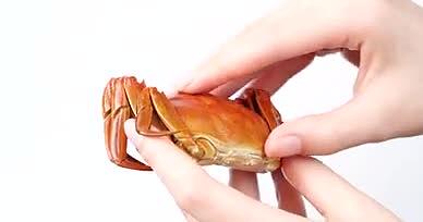 4K螃蟹蟹膏蟹黄大闸蟹美食视频的预览图